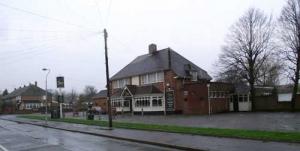 Picture of The Swan