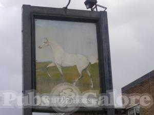 Picture of White Horse