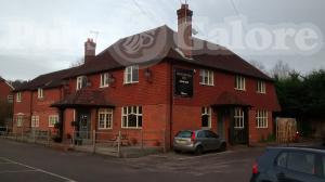 Picture of The Cricketers