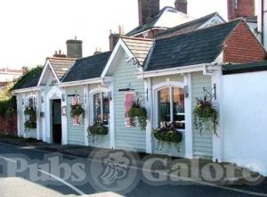 Picture of Ashby's
