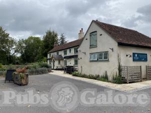 Picture of Duke On The Test