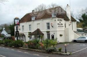 Picture of The George & Falcon