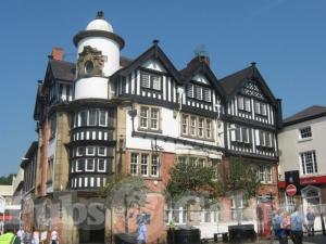 Picture of The White Lion