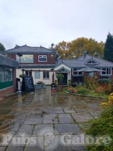 Picture of The Shady Oak