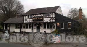Picture of The Black Horse