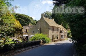 Picture of The Mill Inn