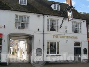 Picture of The White Horse