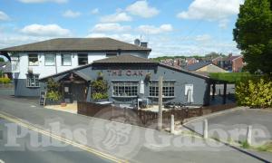 Picture of The Oak