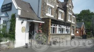 Picture of Trevor Arms