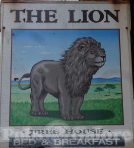 Picture of The Lion