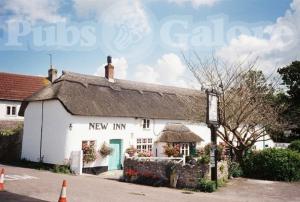 Picture of The New Inn