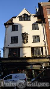 Picture of Golden Lion