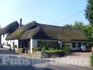 Picture of The Trout Inn