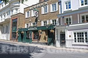 Picture of Roebuck