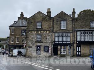 Picture of The Swan