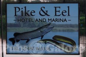 Picture of The Pike and Eel