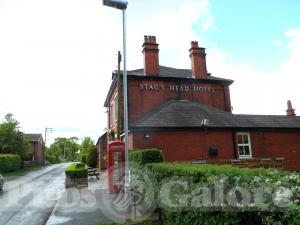 Picture of Stags Head
