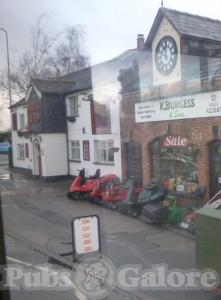 Picture of Bulls Head