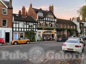 Picture of The Greyhound