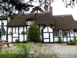 Picture of The Thatch