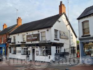 Picture of White Horse