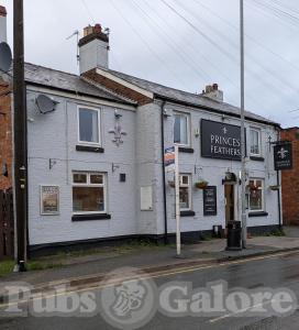 Picture of The Princes Feathers