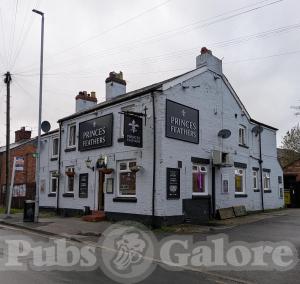 Picture of The Princes Feathers