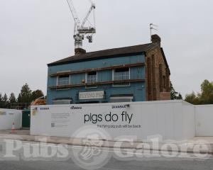 Picture of The Flying Pig