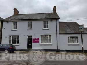 Picture of The Racehorse