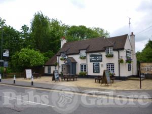 Picture of Thatched Cottage