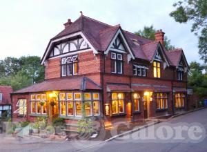 Picture of The Snooty Fox