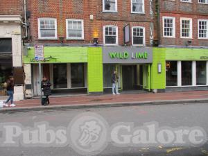 Picture of Wild Lime