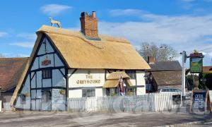 Picture of The Greyhound