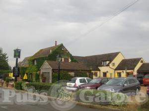 Picture of The Green Man