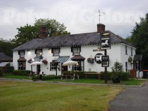 Picture of The White Horse