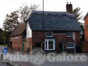 Picture of The Black Horse