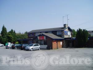 Picture of The Favourite