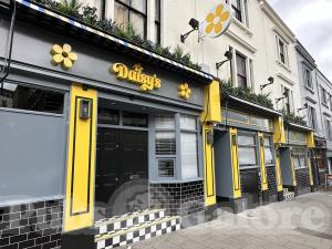 Picture of Daisy's