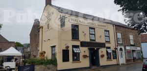 Picture of Golden Lion