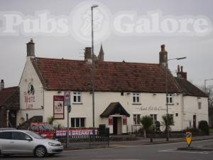 Picture of The White Lion