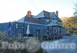 Picture of Blue Anchor