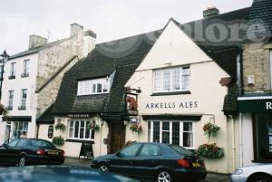 Picture of The Old Bear