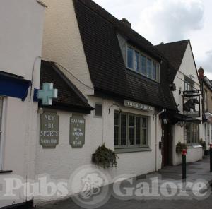 Picture of The Old Bear