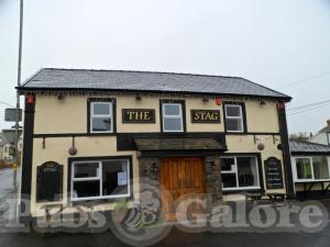 Picture of The Stag