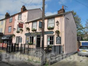 Picture of Golden Lion