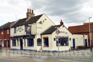 Picture of Durham Ox