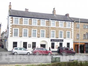 Picture of The White Bear