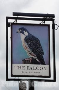 Picture of The Falcon