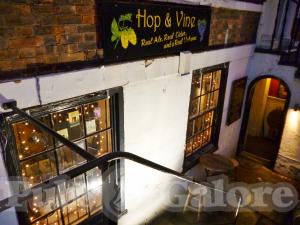Picture of Hop & Vine