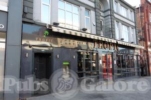 Picture of Tropic